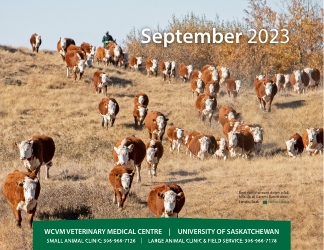 Monthly Animal Health Calendar - University of Saskatchewan, Page 20
