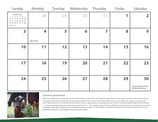 Monthly Animal Health Calendar - University of Saskatchewan, Page 21