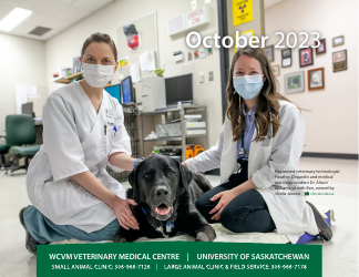 Monthly Animal Health Calendar - University of Saskatchewan, Page 22