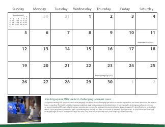Monthly Animal Health Calendar - University of Saskatchewan, Page 25