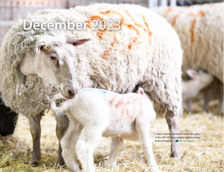 Monthly Animal Health Calendar - University of Saskatchewan, Page 26
