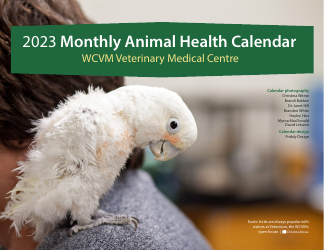 Monthly Animal Health Calendar - University of Saskatchewan, Page 3