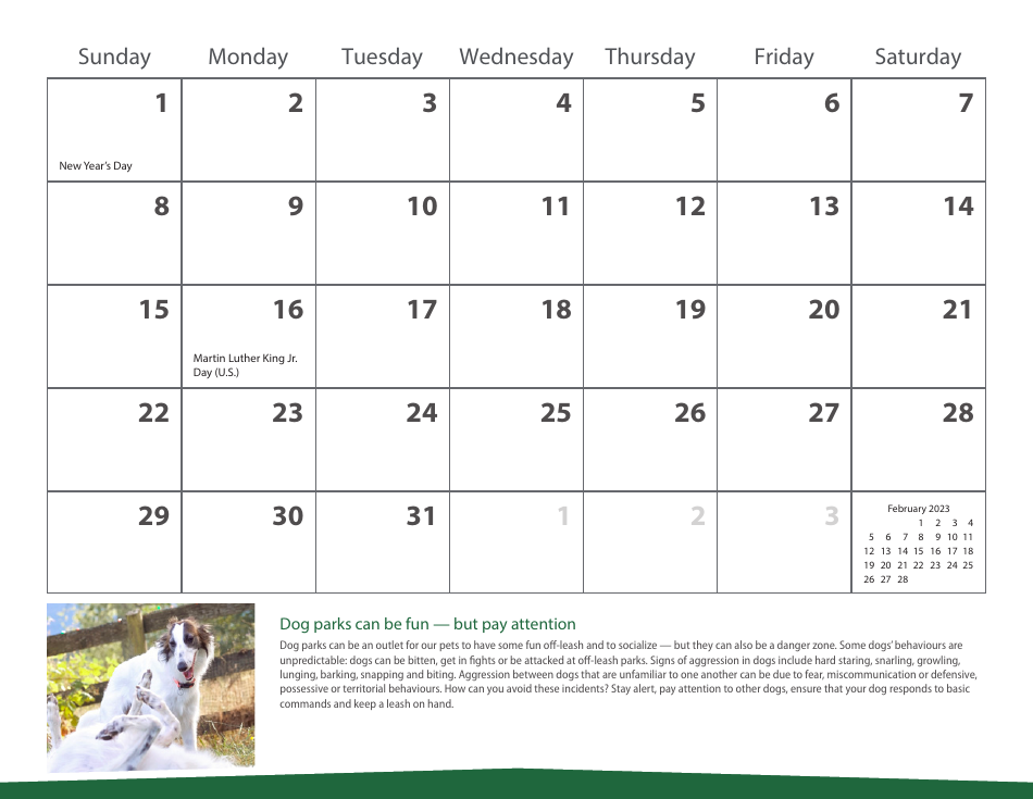 Monthly Animal Health Calendar - University of Saskatchewan, Page 5