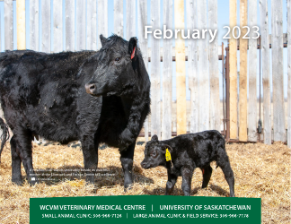Monthly Animal Health Calendar - University of Saskatchewan, Page 6