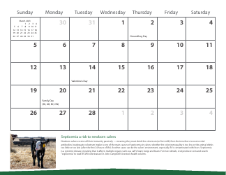 Monthly Animal Health Calendar - University of Saskatchewan, Page 7