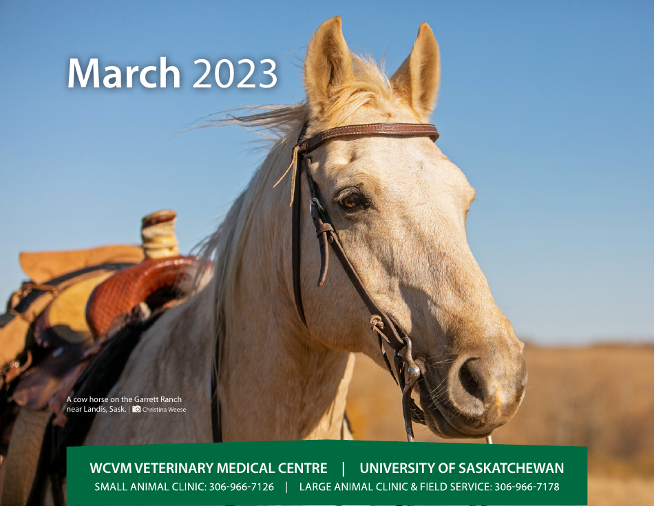 Monthly Animal Health Calendar - University of Saskatchewan, Page 8