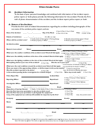 Law Firm Client Intake Form: Personal Injury - Dickson Davis Law Firm, Page 9