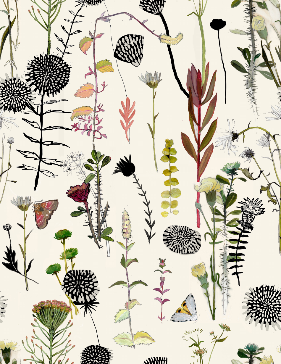 Paper Doll House Templates - Briana Corr Scott, Page 4