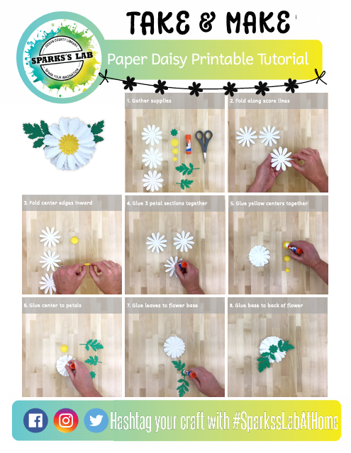 Paper Daisy Templates - Printable Flower Template