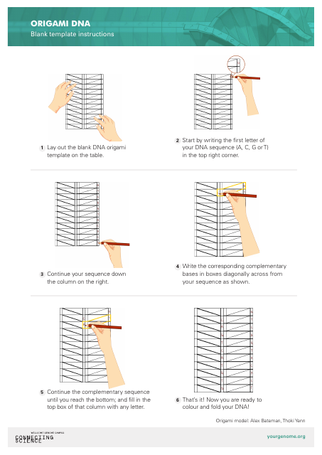 Origami*DNA Taxonomy Classification Diagram as a Helpful Biology Study Aid