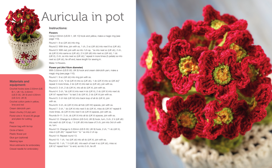 Auricula in Pot Crocheting Pattern - Jan Ollis Image Preview