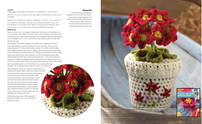 Auricula in Pot Crocheting Pattern - Jan Ollis, Page 2