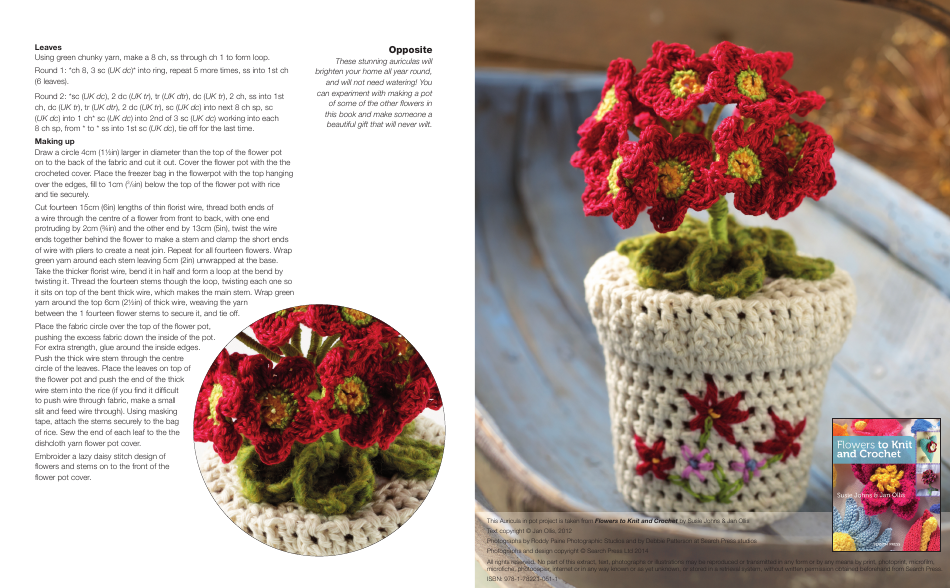 Auricula in Pot Crocheting Pattern - Jan Ollis, Page 2