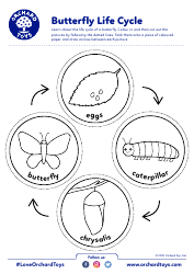Document preview: Butterfly Life Cycle Coloring Card Templates - Orchard Toys