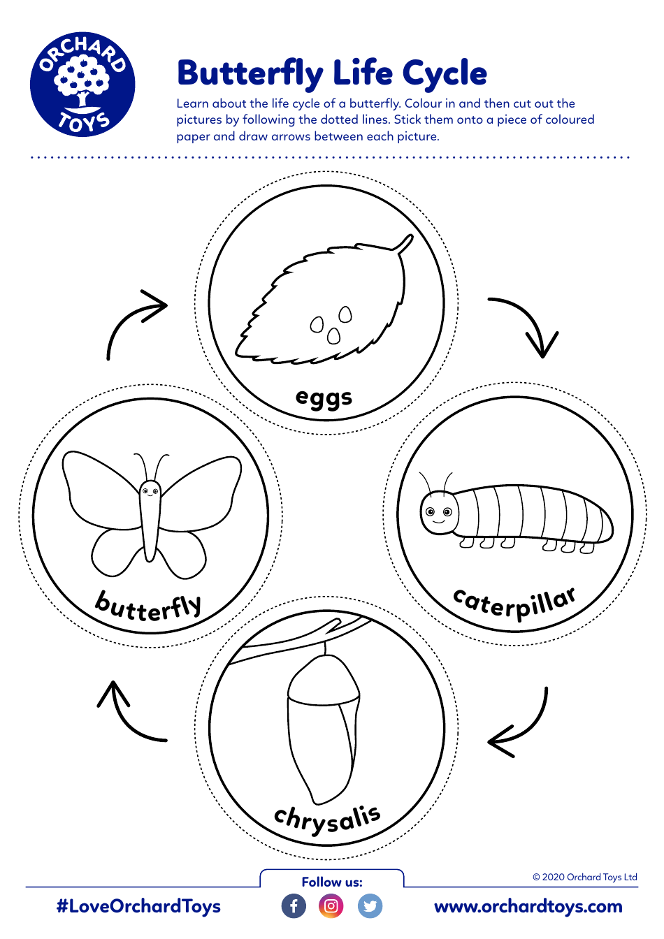 Butterfly Life Cycle Coloring Card Templates Orchard Toys Download