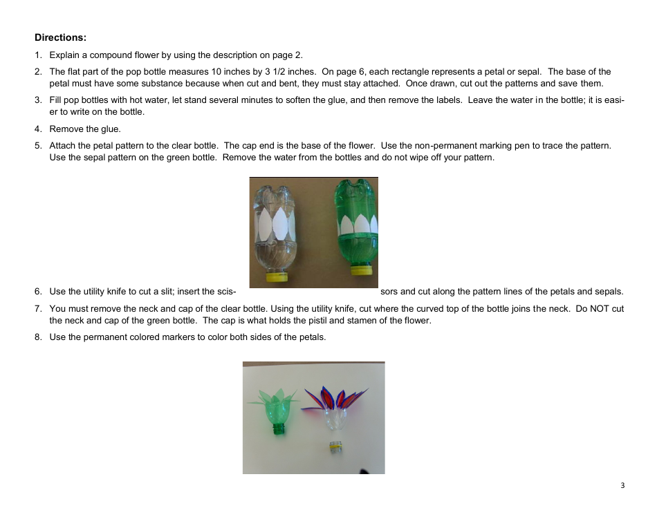 Pop Bottle Flower Tempate, Page 3