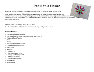 Document preview: Pop Bottle Flower Tempate
