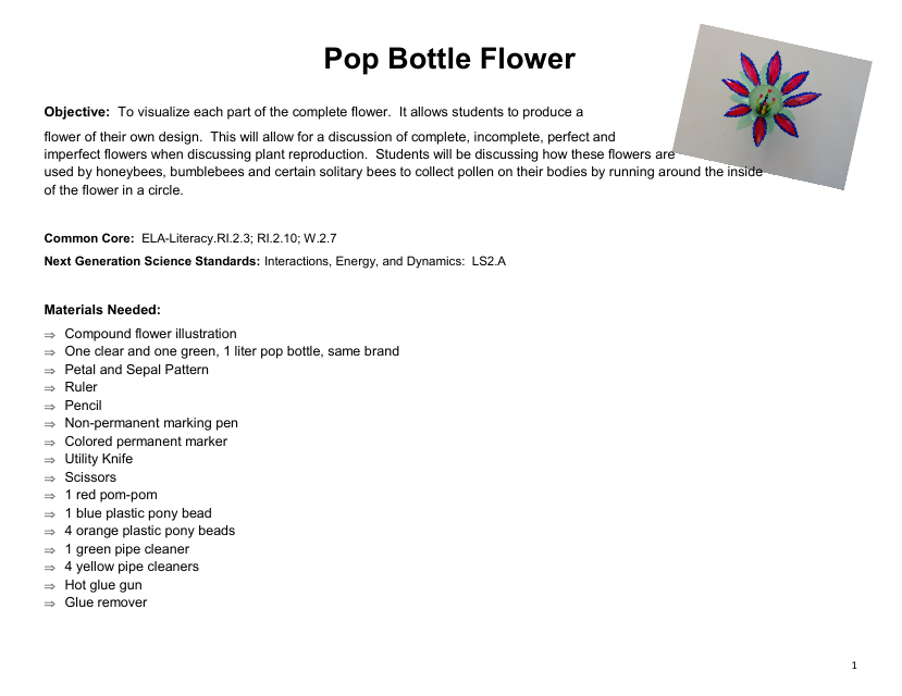 Pop Bottle Flower Template - Printable PDF Document