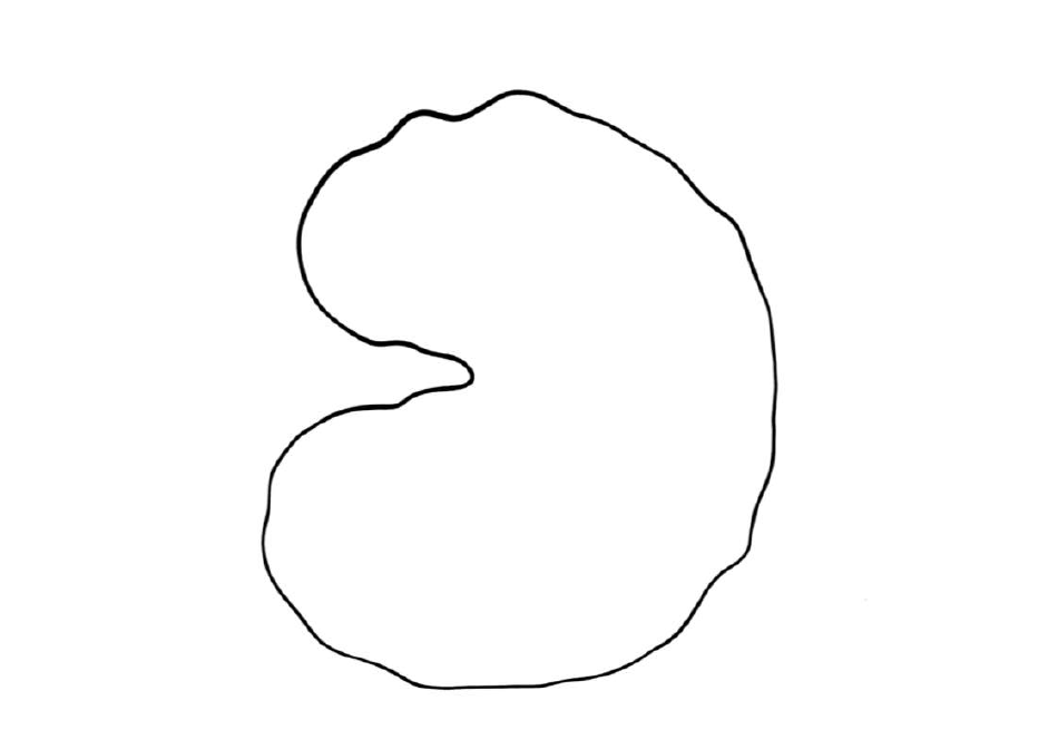 Paper Water Lily Templates, Page 6