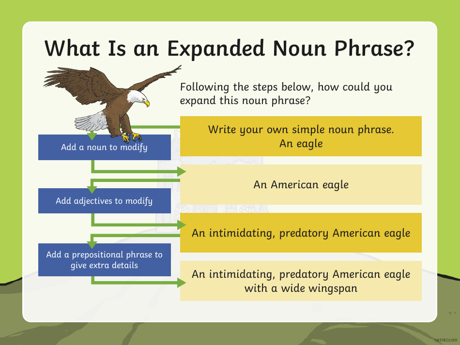Expanded Noun Phrases Warm-Up, Page 6
