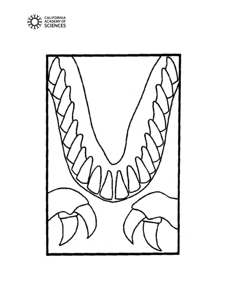 Paper Bag T. Rex Templates, Page 3
