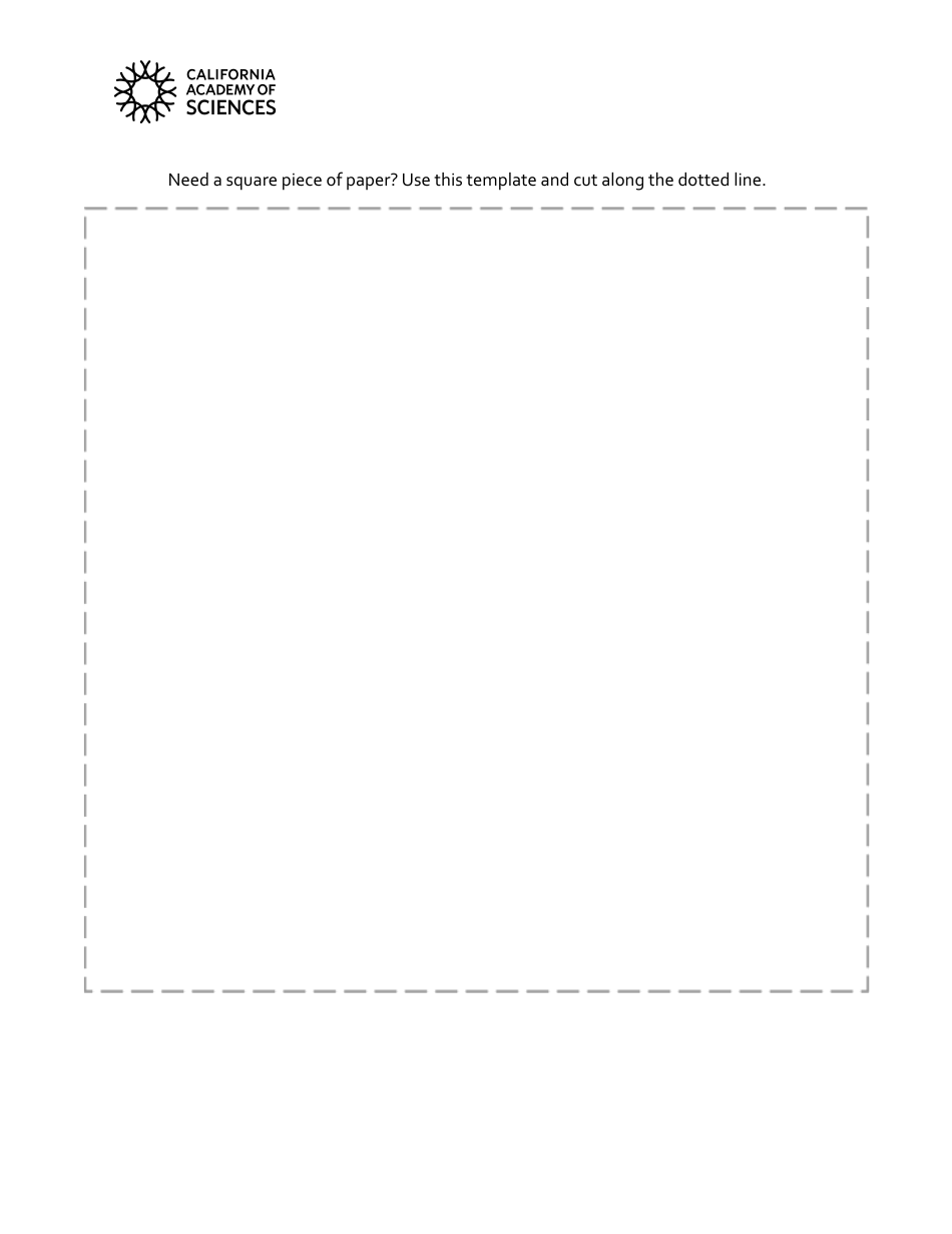 Origami Paper Shooting Star Guide, Page 4