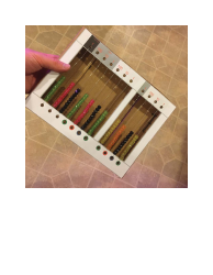 Divided Bead Frame Template, Page 15