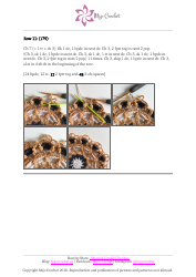 Frozen Lotus Crochet Pattern, Page 6