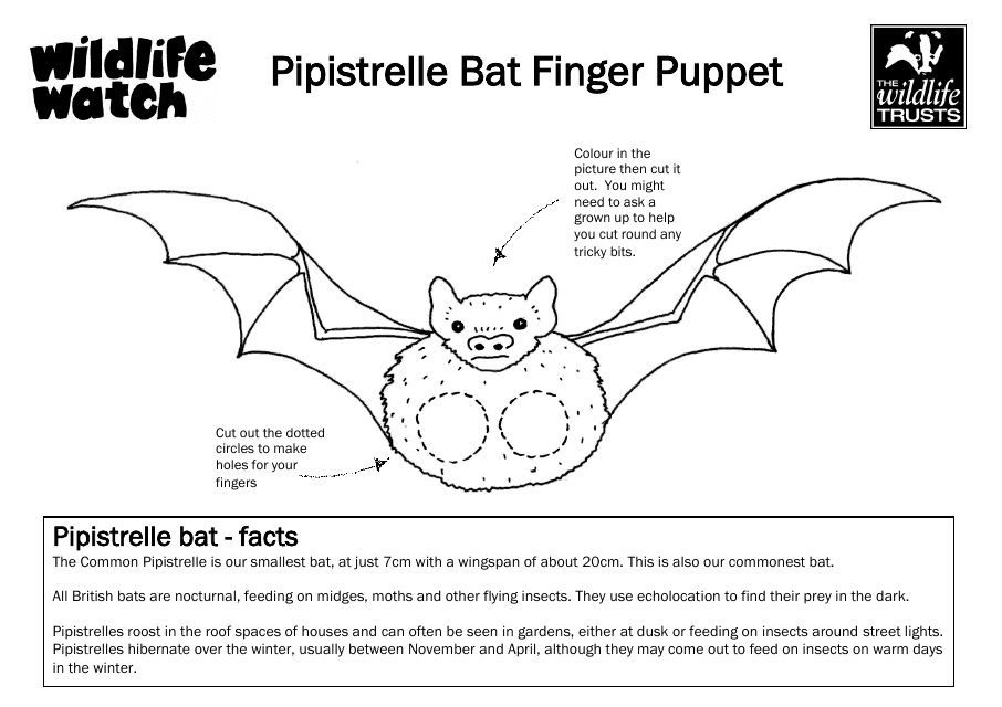 Pipistrelle Bat Finger Puppet Template