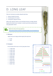 Crochet Vine Pattern, Page 13