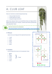 Crochet Vine Pattern, Page 7