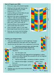 Origami Dna Helix Template, Page 2