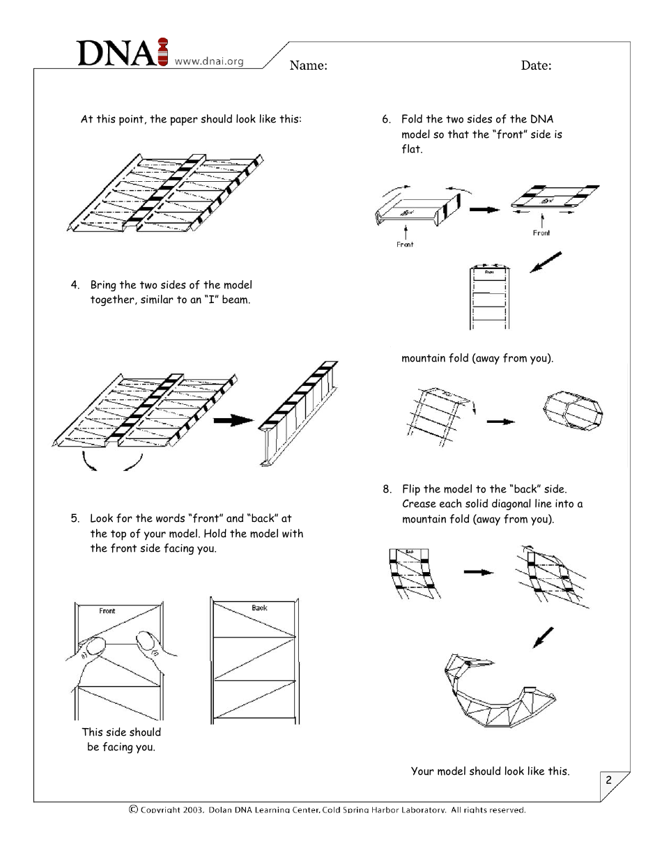 Origami Dna Model, Page 2