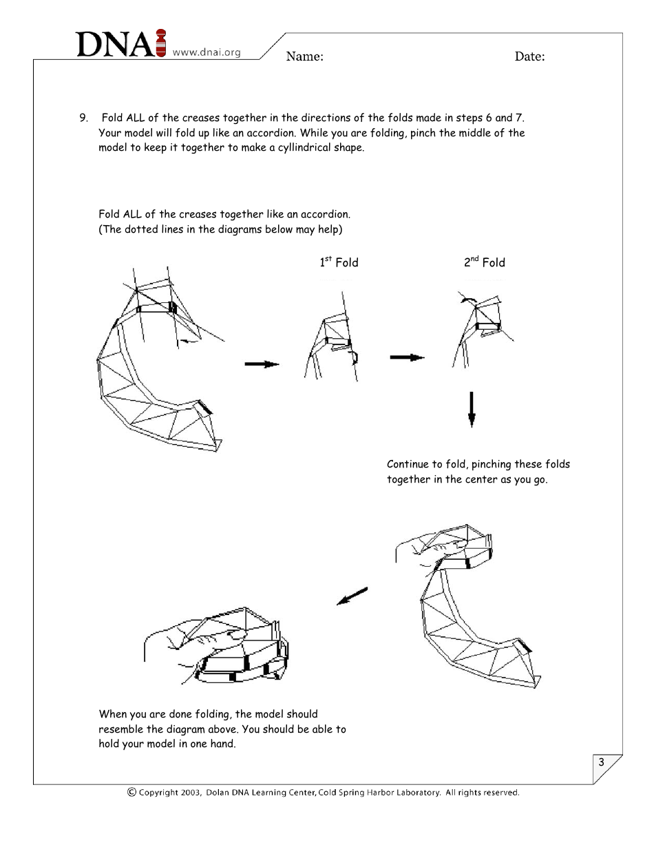 Origami Dna Model, Page 3
