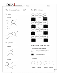 Origami Dna Model, Page 5