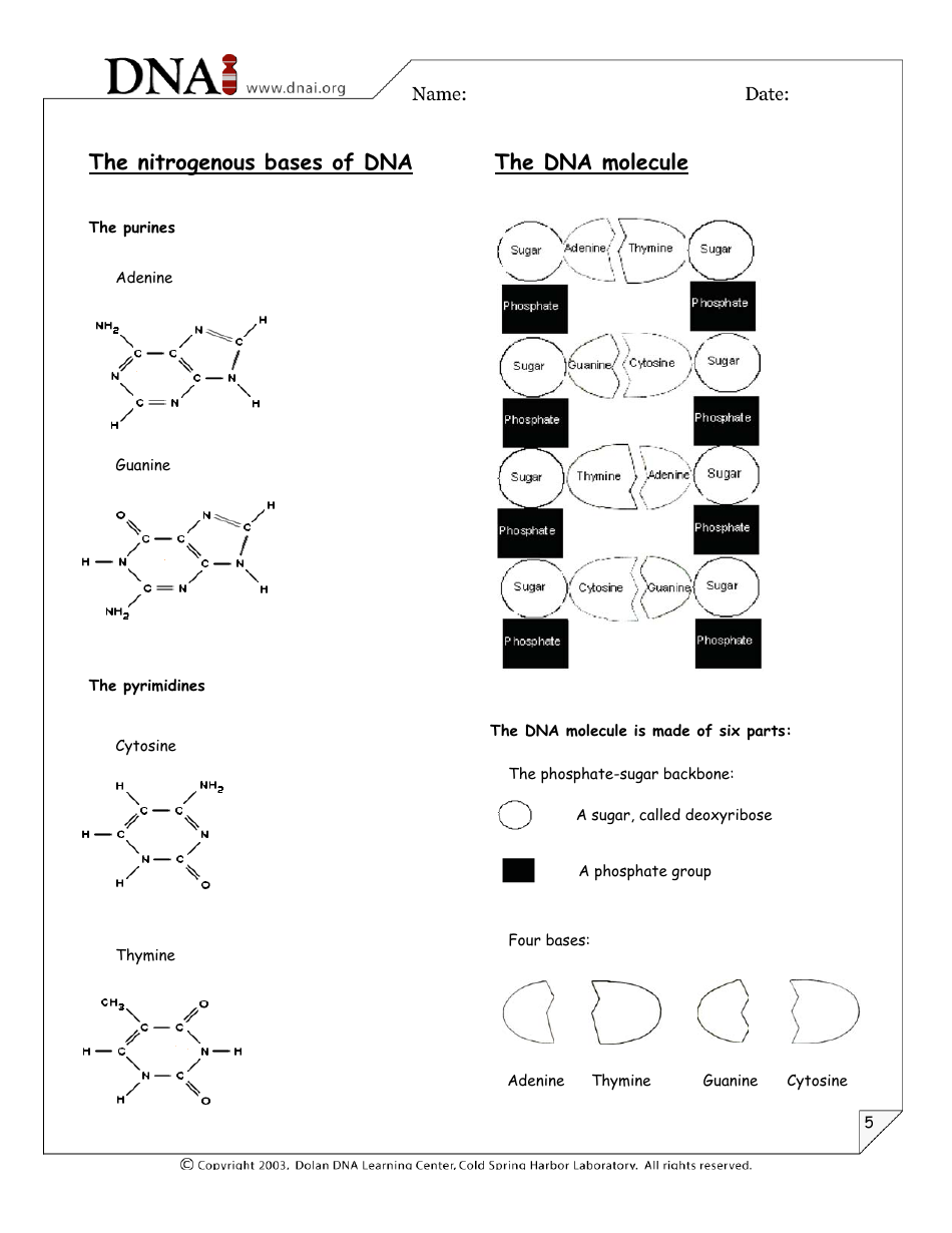 Origami Dna Model, Page 5