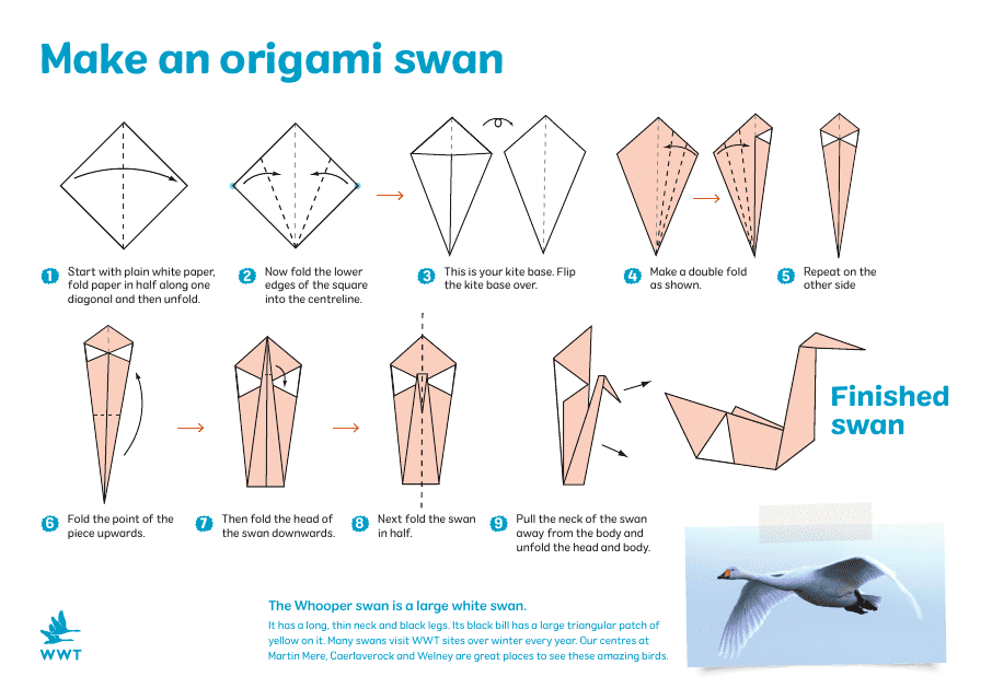 Origami Swan Guide