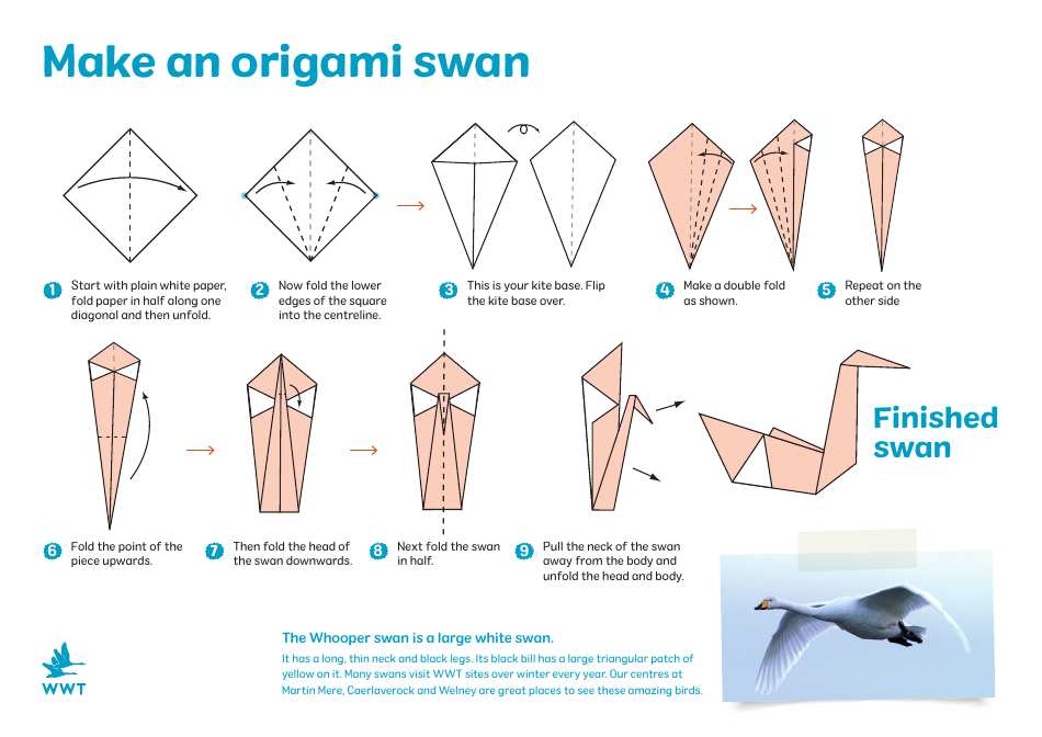 Origami Swan Guide Download Printable PDF | Templateroller
