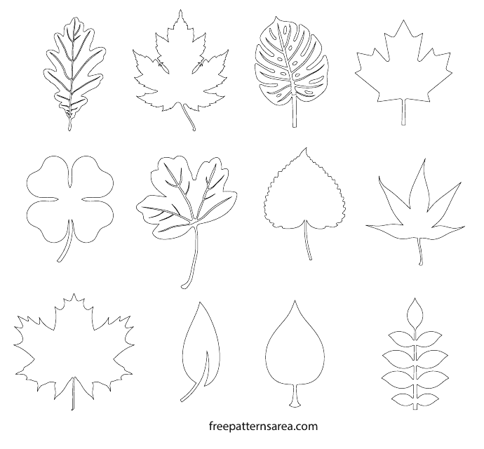 Leaf Templates - Different Types