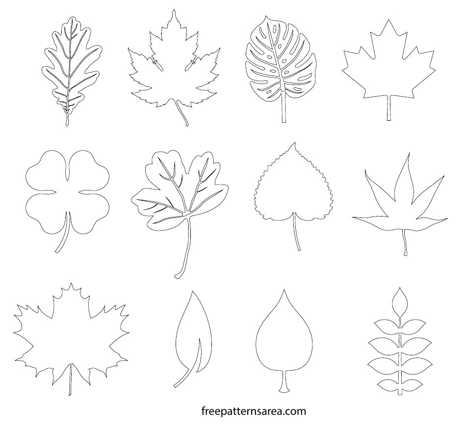 Leaf Templates - Different Types, Page 1