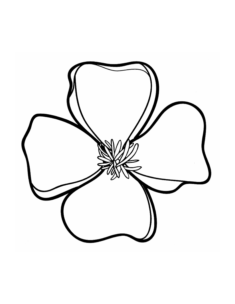 Torn Paper Poppy Template, Page 3