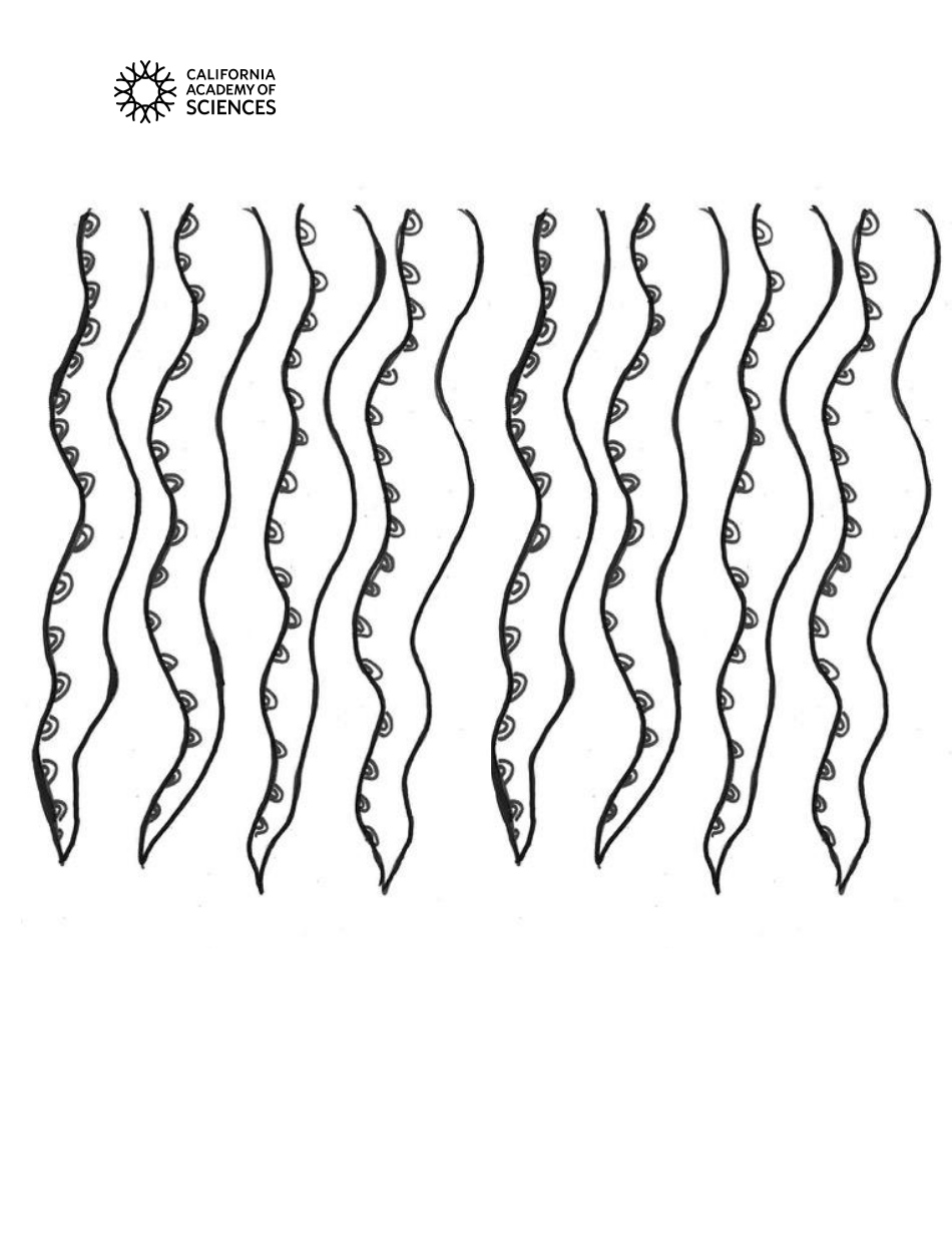 Paper Octopus Crown Template, Page 3