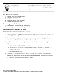 Congaree K12 Lesson Plan: Leaf Classification, Page 2
