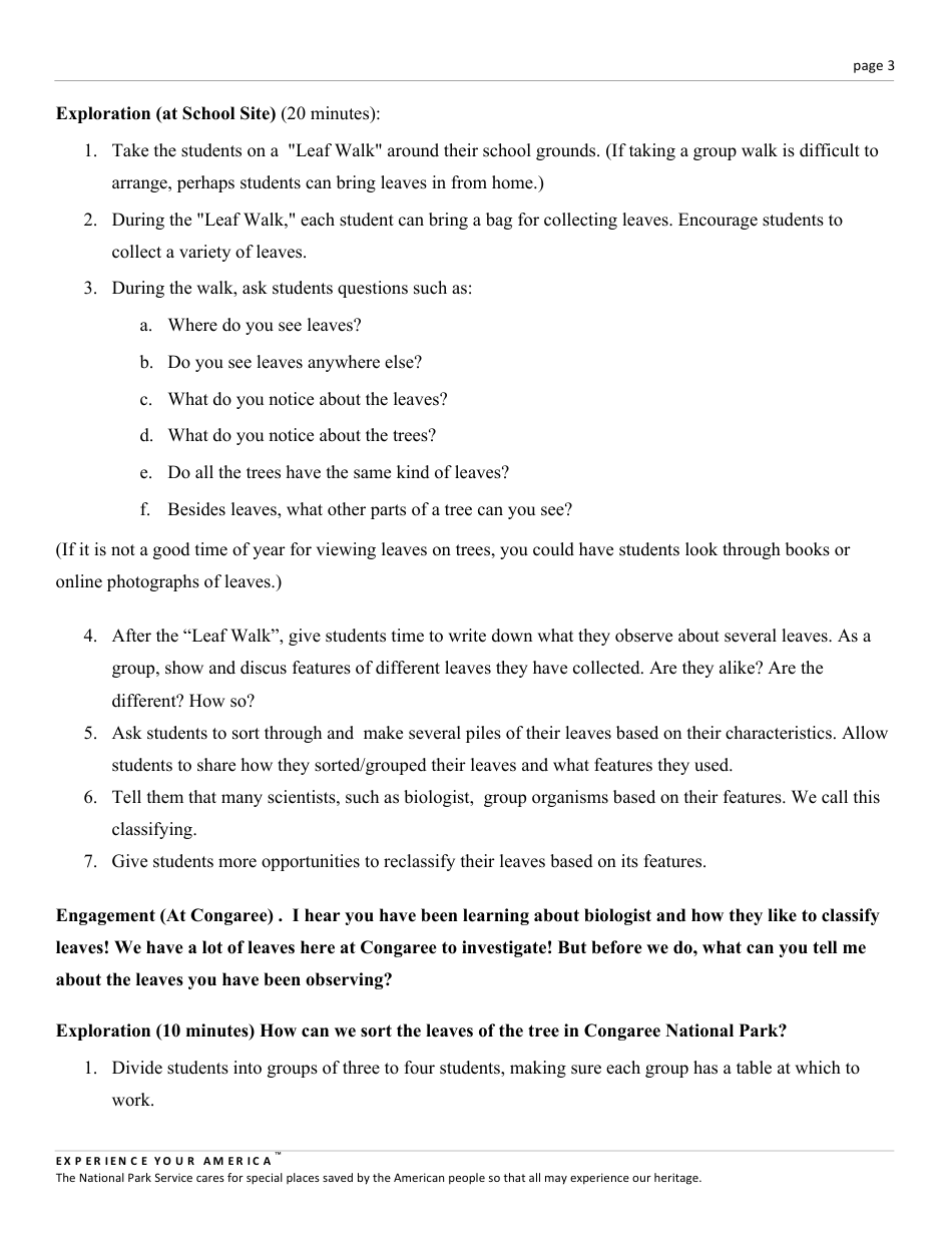 Congaree K12 Lesson Plan: Leaf Classification, Page 3