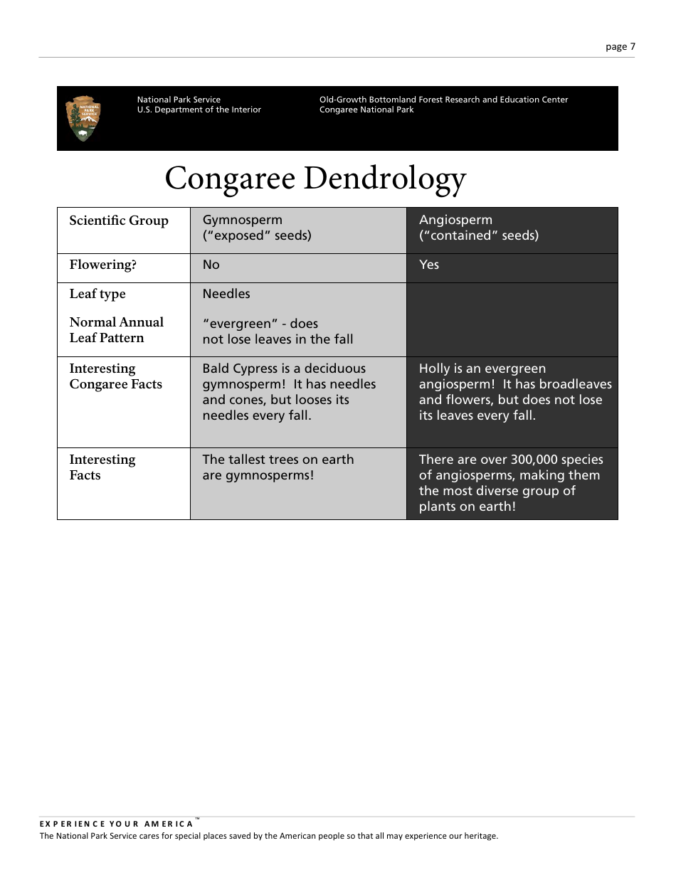 Congaree K12 Lesson Plan: Leaf Classification, Page 7