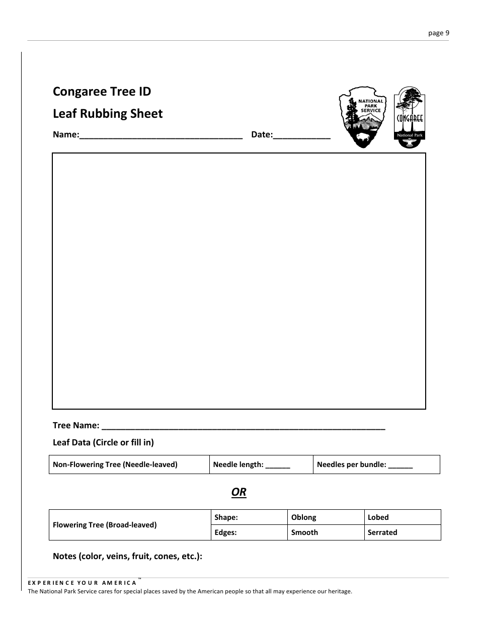 Congaree K12 Lesson Plan: Leaf Classification, Page 9