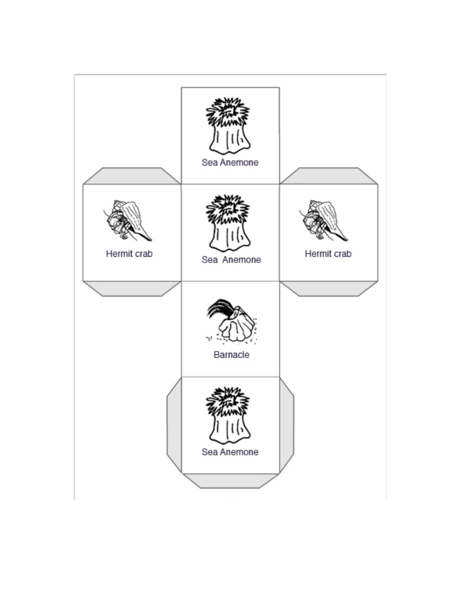 Animal Dice Templates, Page 3