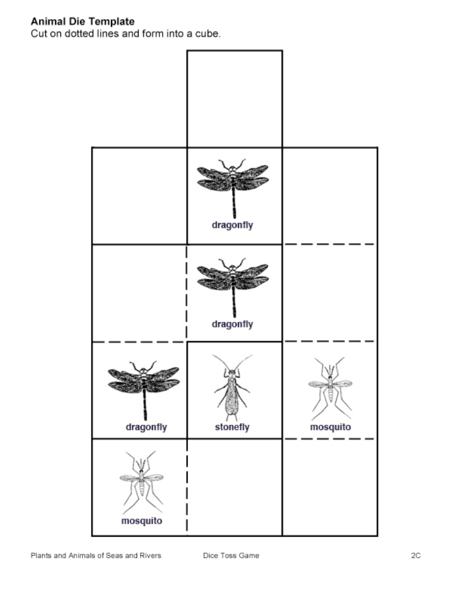 Animal Dice Templates, Page 4