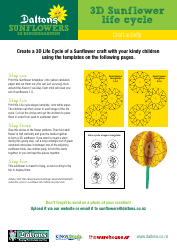 3d Sunflower Life Cycle Templates