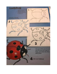 Ladybug Coloring Sheet, Page 2